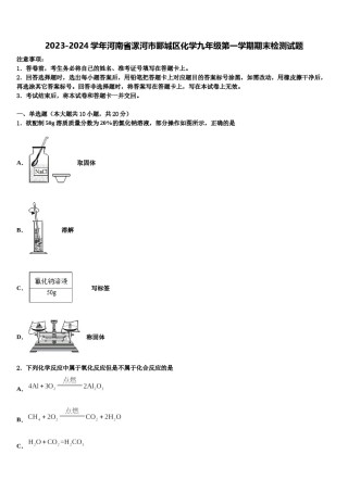 2023-2024学年河南省漯河市郾城区化学九年级第一学期期末检测试题含解析.doc