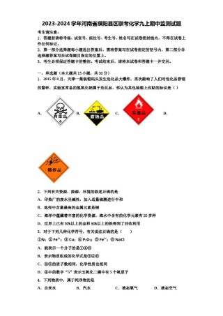2023-2024学年河南省濮阳县区联考化学九上期中监测试题含解析.doc