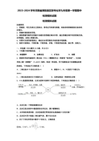 2023-2024学年河南省濮阳县区联考化学九年级第一学期期中检测模拟试题含解析.doc