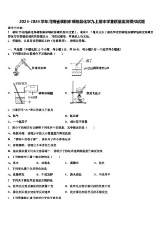 2023-2024学年河南省濮阳市濮阳县化学九上期末学业质量监测模拟试题含解析.doc