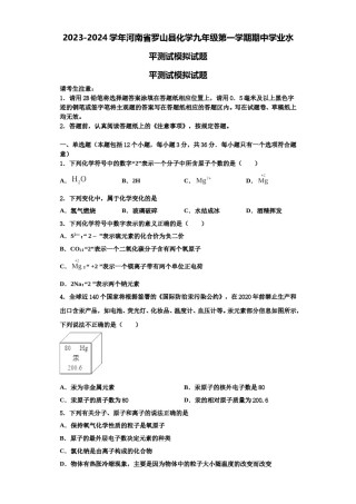2023-2024学年河南省罗山县化学九年级第一学期期中学业水平测试模拟试题含解析.doc