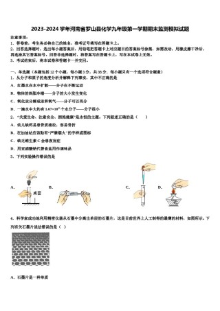 2023-2024学年河南省罗山县化学九年级第一学期期末监测模拟试题含解析.doc