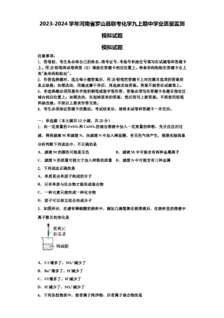 2023-2024学年河南省罗山县联考化学九上期中学业质量监测模拟试题含解析.doc