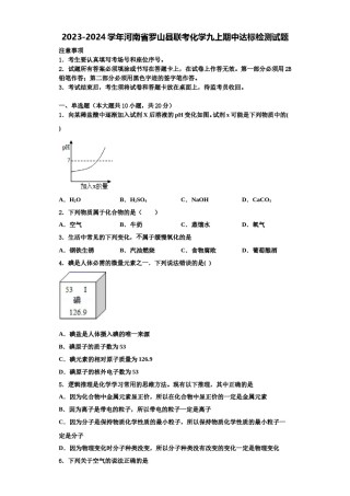 2023-2024学年河南省罗山县联考化学九上期中达标检测试题含解析.doc