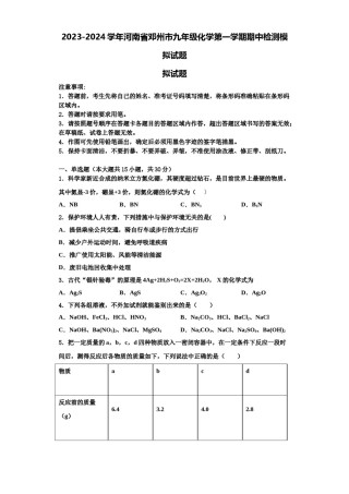 2023-2024学年河南省邓州市九年级化学第一学期期中检测模拟试题含解析.doc