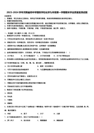 2023-2024学年河南省郑中学国际学校化学九年级第一学期期末学业质量监测试题含解析.doc