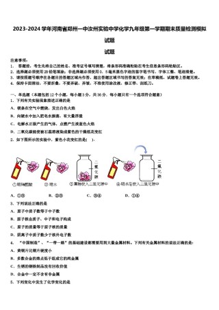 2023-2024学年河南省郑州一中汝州实验中学化学九年级第一学期期末质量检测模拟试题含解析.doc