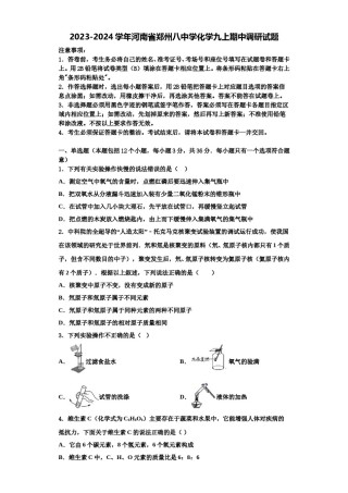 2023-2024学年河南省郑州八中学化学九上期中调研试题含解析.doc