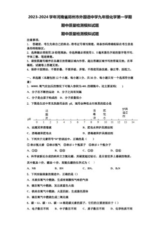 2023-2024学年河南省郑州市外国语中学九年级化学第一学期期中质量检测模拟试题含解析.doc