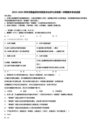 2023-2024学年河南省郑州市新密市化学九年级第一学期期末考试试题含解析.doc