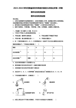 2023-2024学年河南省郑州市枫杨外国语九年级化学第一学期期中达标检测试题含解析.doc
