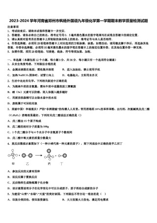 2023-2024学年河南省郑州市枫杨外国语九年级化学第一学期期末教学质量检测试题含解析.doc