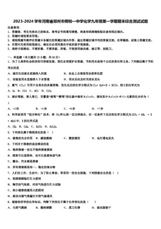 2023-2024学年河南省郑州市桐柏一中学化学九年级第一学期期末综合测试试题含解析.doc