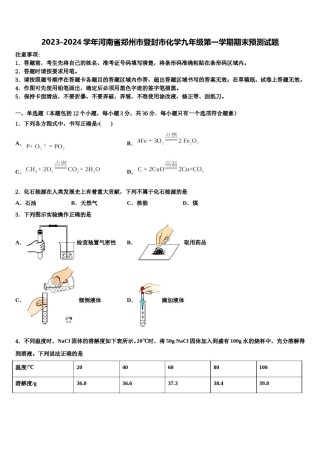 2023-2024学年河南省郑州市登封市化学九年级第一学期期末预测试题含解析.doc