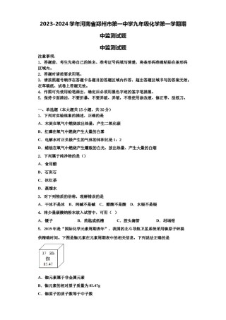 2023-2024学年河南省郑州市第一中学九年级化学第一学期期中监测试题含解析.doc