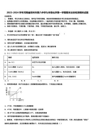 2023-2024学年河南省郑州市第八中学九年级化学第一学期期末达标检测模拟试题含解析.doc
