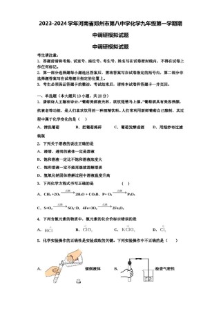 2023-2024学年河南省郑州市第八中学化学九年级第一学期期中调研模拟试题含解析.doc