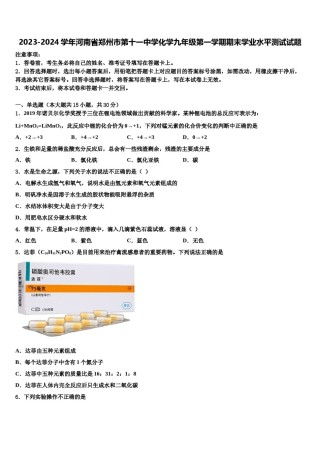 2023-2024学年河南省郑州市第十一中学化学九年级第一学期期末学业水平测试试题含解析.doc