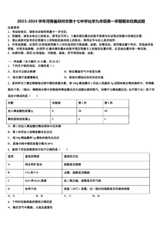 2023-2024学年河南省郑州市第十七中学化学九年级第一学期期末经典试题含解析.doc
