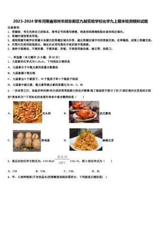 2023-2024学年河南省郑州市郑东新区九制实验学校化学九上期末检测模拟试题含解析.doc