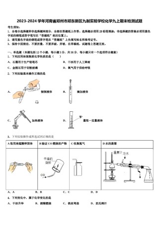 2023-2024学年河南省郑州市郑东新区九制实验学校化学九上期末检测试题含解析.doc