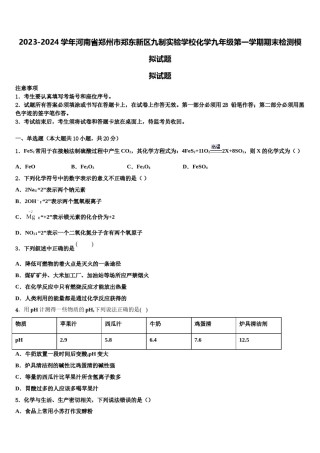 2023-2024学年河南省郑州市郑东新区九制实验学校化学九年级第一学期期末检测模拟试题含解析.doc