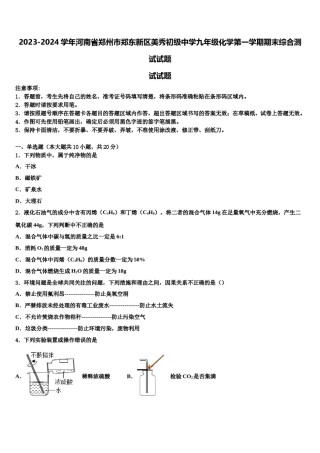 2023-2024学年河南省郑州市郑东新区美秀初级中学九年级化学第一学期期末综合测试试题含解析.doc