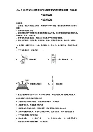 2023-2024学年河南省郑州市郑州中学化学九年级第一学期期中监测试题含解析.doc