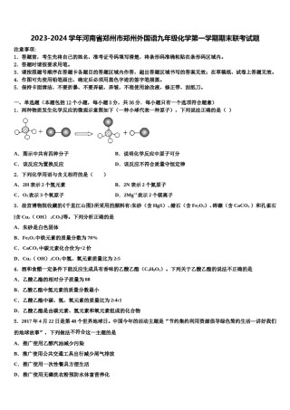 2023-2024学年河南省郑州市郑州外国语九年级化学第一学期期末联考试题含解析.doc