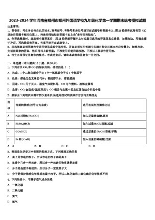 2023-2024学年河南省郑州市郑州外国语学校九年级化学第一学期期末统考模拟试题含解析.doc