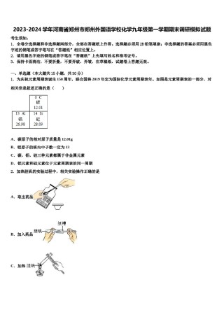 2023-2024学年河南省郑州市郑州外国语学校化学九年级第一学期期末调研模拟试题含解析.doc