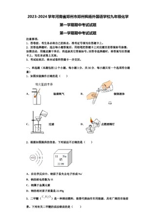 2023-2024学年河南省郑州市郑州枫杨外国语学校九年级化学第一学期期中考试试题含解析.doc