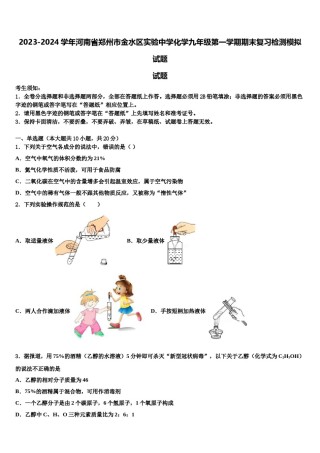2023-2024学年河南省郑州市金水区实验中学化学九年级第一学期期末复习检测模拟试题含解析.doc