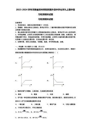 2023-2024学年河南省郑州师院附属外语中学化学九上期中复习检测模拟试题含解析.doc