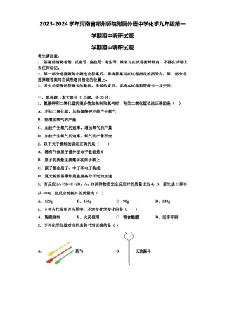 2023-2024学年河南省郑州师院附属外语中学化学九年级第一学期期中调研试题含解析.doc