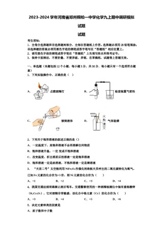 2023-2024学年河南省郑州桐柏一中学化学九上期中调研模拟试题含解析.doc