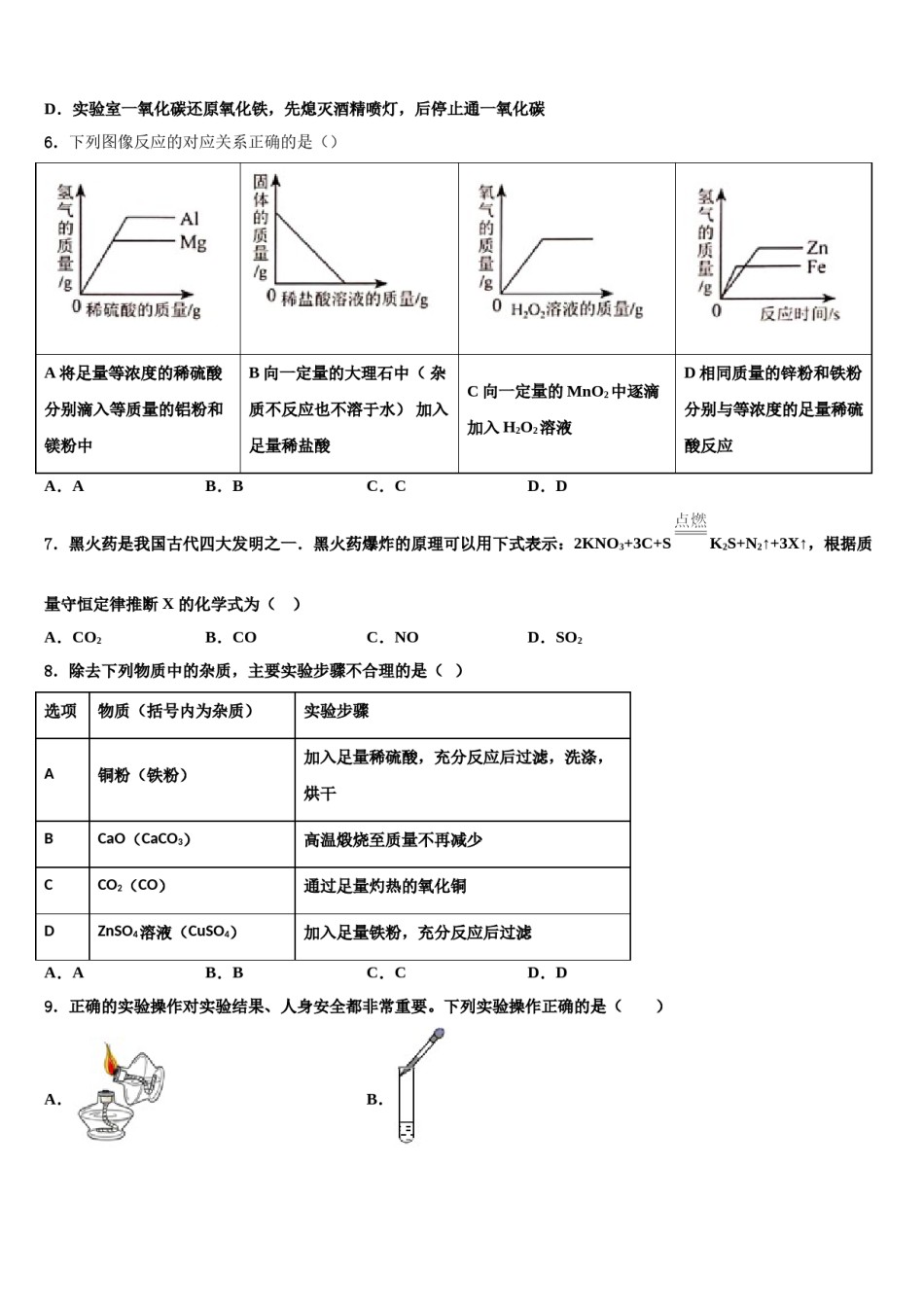 2023-2024学年河南省镇平县九年级化学第一学期期末复习检测试题含解析.doc_第2页