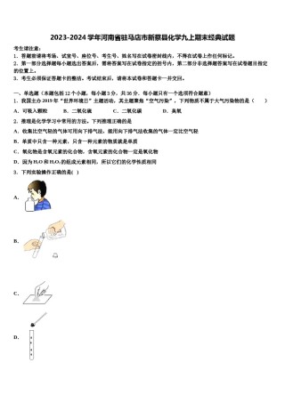 2023-2024学年河南省驻马店市新蔡县化学九上期末经典试题含解析.doc