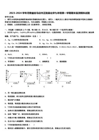 2023-2024学年河南省驻马店市正阳县化学九年级第一学期期末监测模拟试题含解析.doc