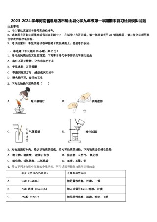 2023-2024学年河南省驻马店市确山县化学九年级第一学期期末复习检测模拟试题含解析.doc