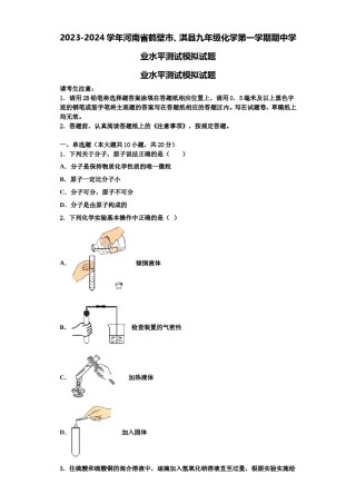 2023-2024学年河南省鹤壁市、淇县九年级化学第一学期期中学业水平测试模拟试题含解析.doc
