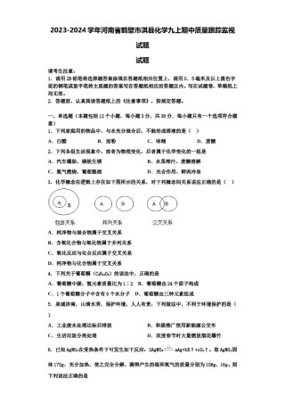 2023-2024学年河南省鹤壁市淇县化学九上期中质量跟踪监视试题含解析.doc