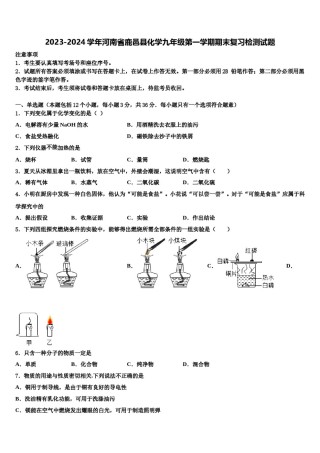 2023-2024学年河南省鹿邑县化学九年级第一学期期末复习检测试题含解析.doc