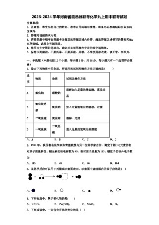 2023-2024学年河南省鹿邑县联考化学九上期中联考试题含解析.doc