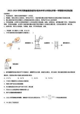 2023-2024学年河南省鹿邑城郊乡阳光中学九年级化学第一学期期末检测试题含解析.doc