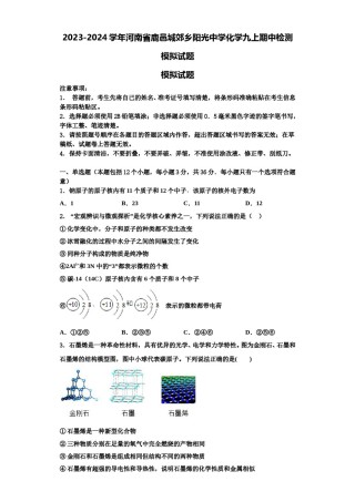 2023-2024学年河南省鹿邑城郊乡阳光中学化学九上期中检测模拟试题含解析.doc