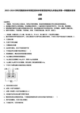 2023-2024学年河南郑州中学原区郑州中学原实验学校九年级化学第一学期期末统考试题含解析.doc