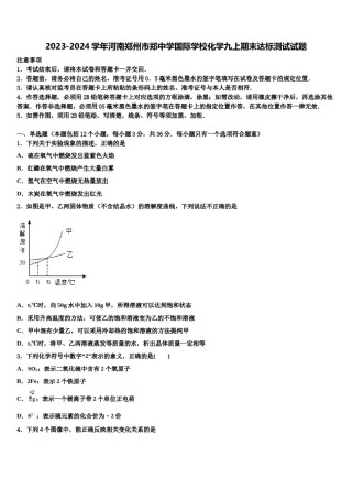 2023-2024学年河南郑州市郑中学国际学校化学九上期末达标测试试题含解析.doc