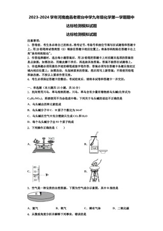 2023-2024学年河南鹿邑老君台中学九年级化学第一学期期中达标检测模拟试题含解析.doc