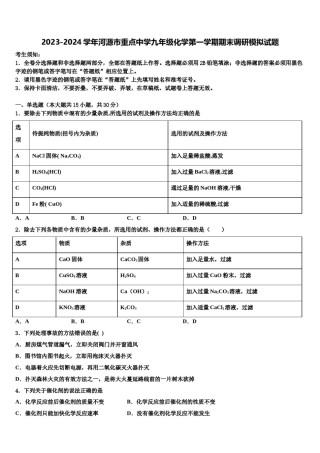 2023-2024学年河源市重点中学九年级化学第一学期期末调研模拟试题含解析.doc